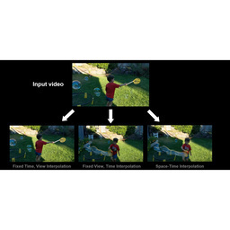 Neural Scene Flow Fields for Space-Time View Synthesis of Dynamic Scenes
